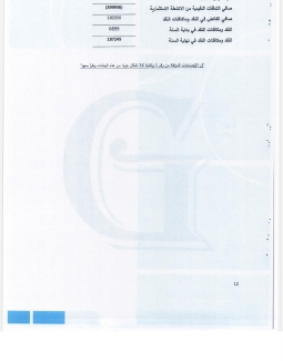 تقرير المدقق 2024